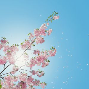 微信看片黄群免费
