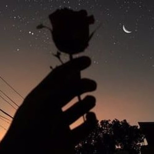 微信看片黄群免费
