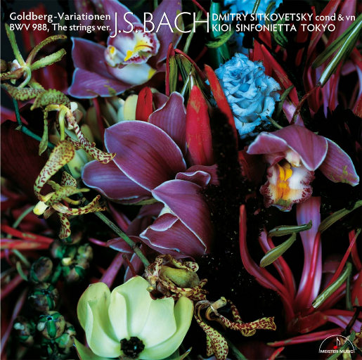 微信看片黄群免费
